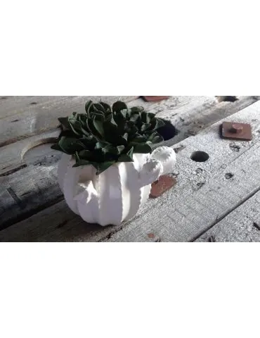 Kakteen Topf Keramik Porzellan weiß White groß 12757