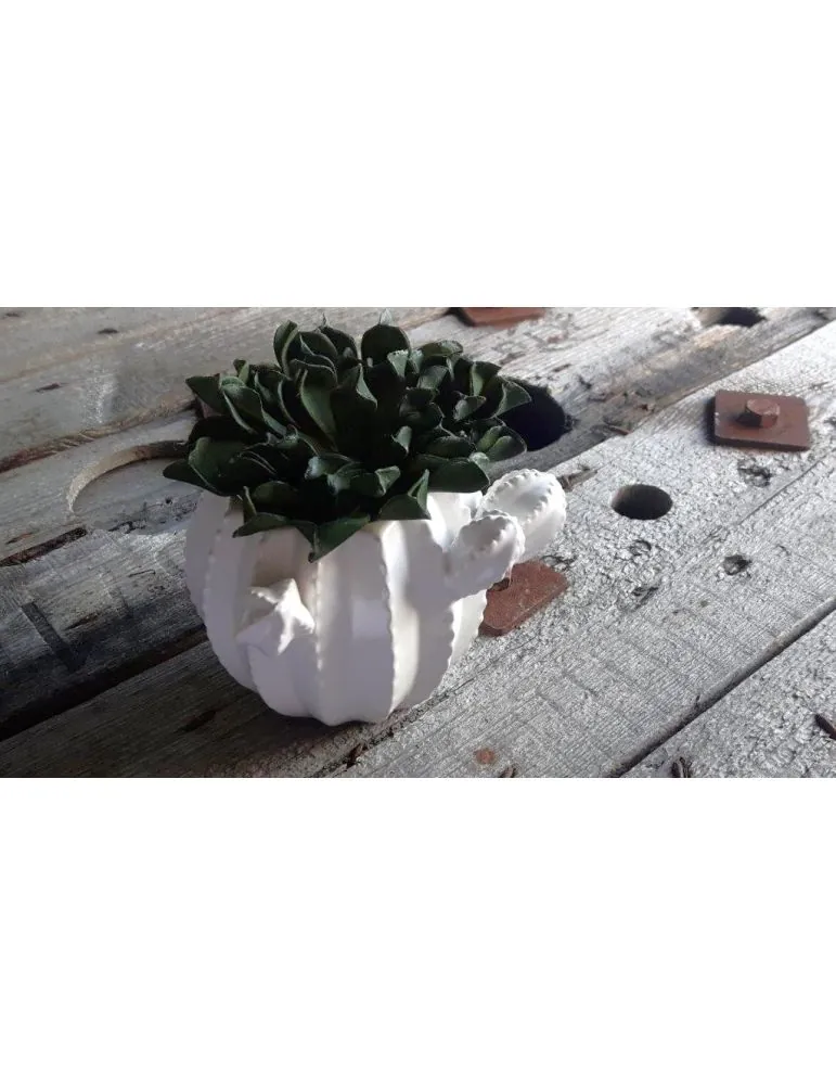 Kakteen Topf Keramik Porzellan weiß White groß 12757