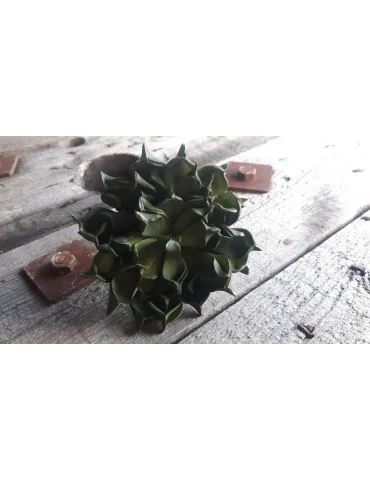 Kunst Sukkulente Papier grün green 11944