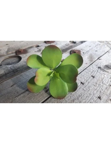 Kunst Sukkulente Deko Kunststoff grün green 130855