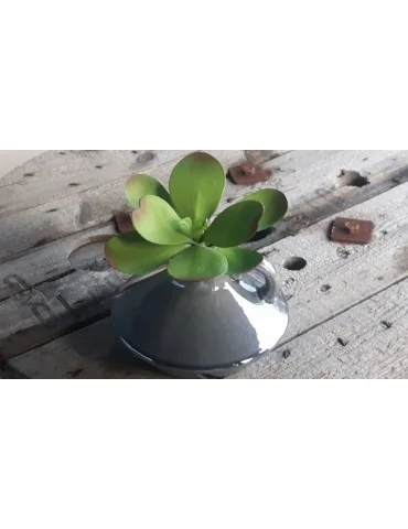 Kunst Sukkulente Deko Kunststoff grün green 130855