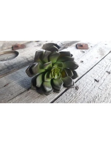 Kunst Sukkulente Deko Kunststoff dunkelgrün grün green 11945