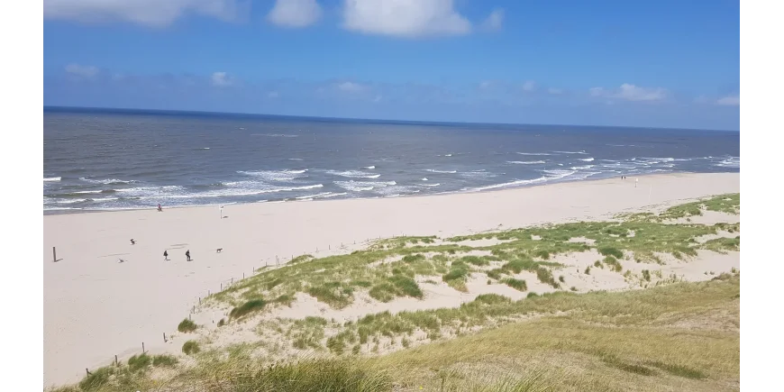 Aus dem Urlaub zurück